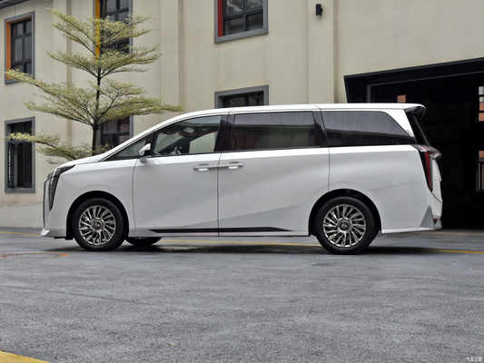 Trump Gacchi M8 ABS équipé de cuir léger électrique Turbo Roof Mpv Véhicule pour adultes