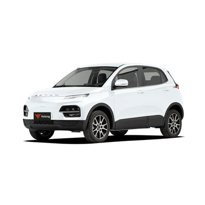 DAYUN M1 Véhicules électriques Voiture électrique pour adultes Voiture de luxe 2023 Yuehu ES3 300km Long Range EV