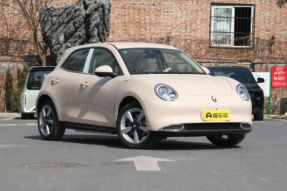 Haomao Mini Electric Car Le véhicule électrique spécial d'Ora pour les conducteurs adultes avec une autonomie de 401 km
