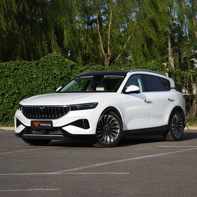 Véhicule électrique à recharge rapide à grande vitesse VOYAH GRATUIT 2020-2023 ≥500Nm 5 sièges