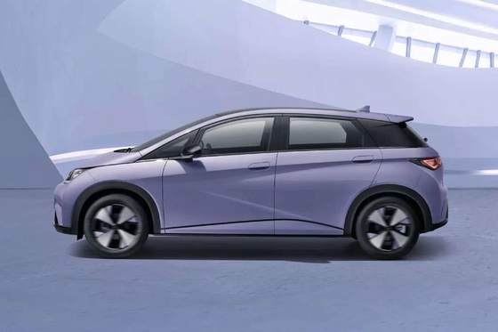 Véhicule électrique pur Byd Haitun Dolphin avec batterie au lithium fer phosphate
